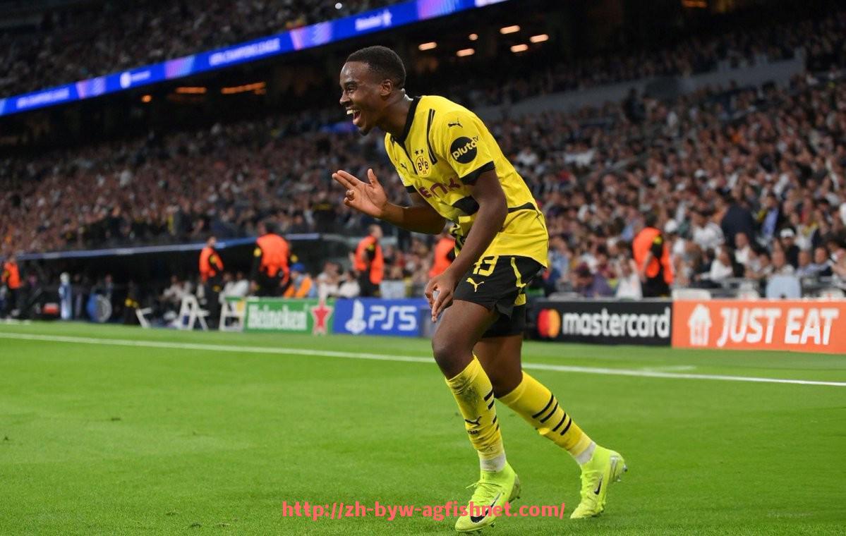 AG捕鱼王官网-法甲外援经验对球队影响分析：老将领袖气质的实际作用