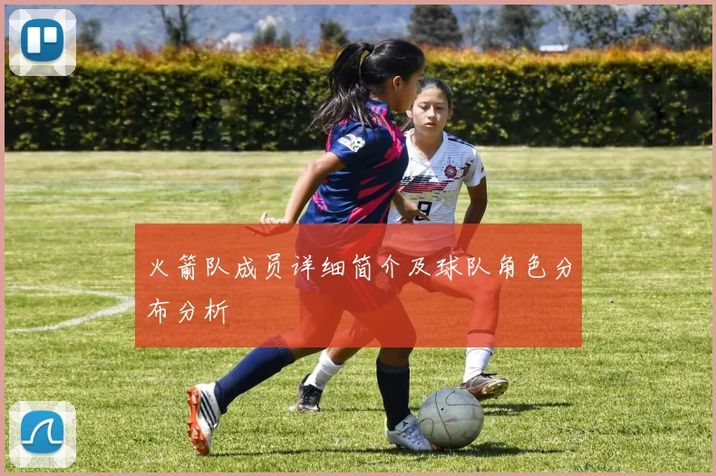 火箭队成员详细简介及球队角色分布分析
