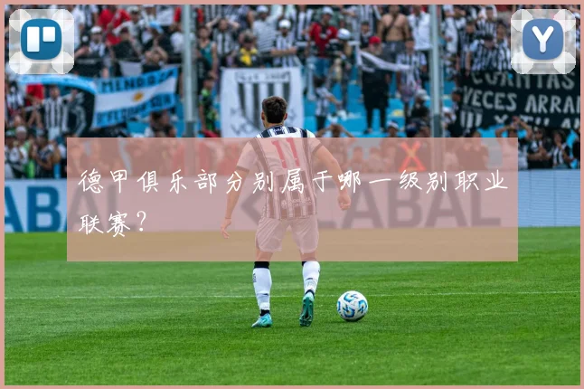 德甲俱乐部分别属于哪一级别职业联赛？