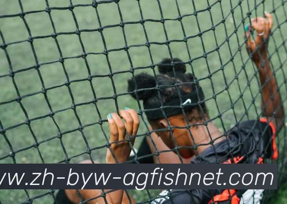 多媒体互动体验