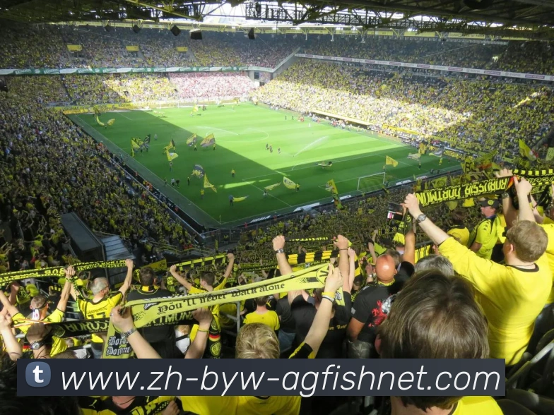 AG捕鱼王官网APP 高清赛事图